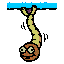 Pixel art of a googly-eyed mosquito larva wiggling under the water surface